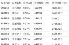 新华策略精选股票A净值下跌6.62%