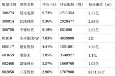 中欧先进制造股票A净值下跌4.01%