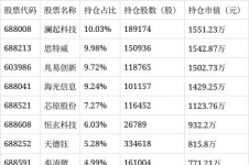 嘉实绿色主题股票发起式A净值上涨3.25%