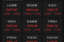 A股全线飘红！超4500只股票上涨