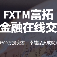 外汇交易平台怎么选？四大平台深度测评助你精准决策
