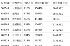 新华策略精选股票A净值下跌6.62%