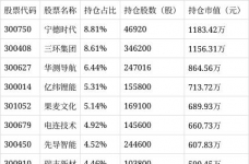 工银创业板两年定开混合C净值下跌3.12%
