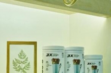 3X三重蛋白饮｜革命性蛋白配方告别腹胀，开启美味健康营养新体验