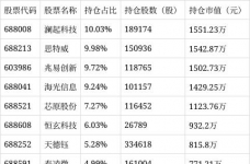 嘉实绿色主题股票发起式A净值上涨3.25%