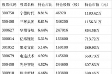 工银创业板两年定开混合C净值下跌3.12%