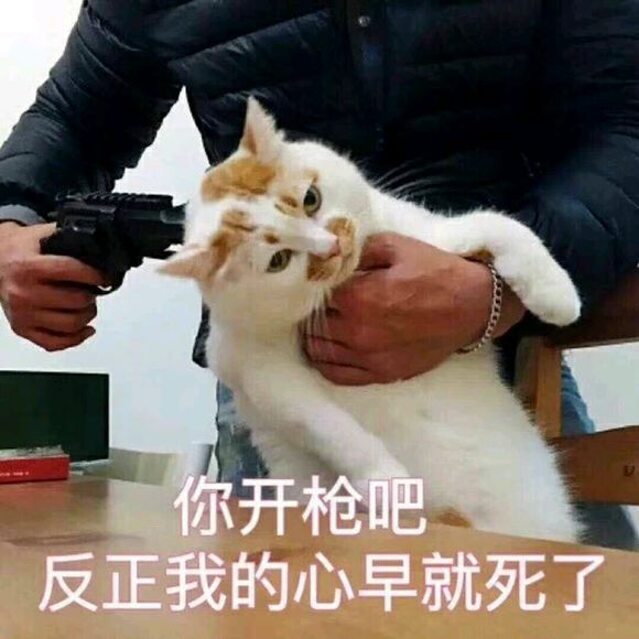 股票论坛大厅-有多少人被世界杯小组赛坑的伤痕磊磊(1)