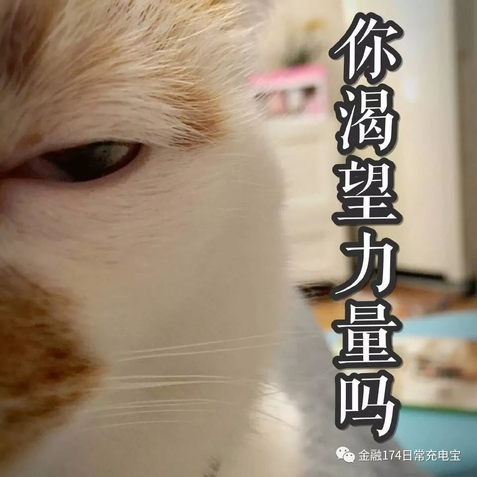 纳斯达克论坛-大家好，给大家介绍一下，这是另一位王同学的好书分析 ...(2)