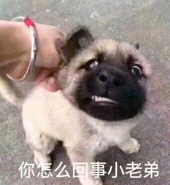 股票论坛大厅-小额我的股票帮你，收费骗子死。(1)