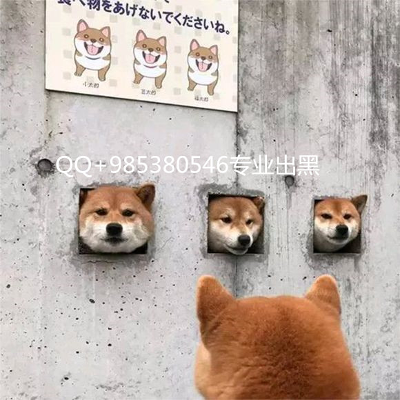1b0cf21fbe096b63079653c201338744eaf8ac5b_副本.jpg
