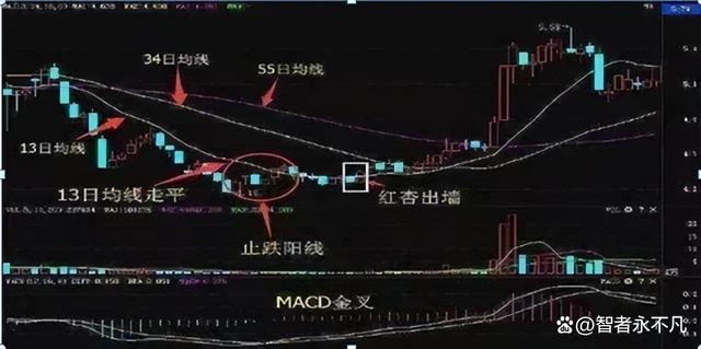 炒股经验论坛-股票论坛一位十六年老股民，首次公开股市账户资产，所有的人看后都惊呆了(25)