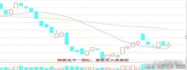 股票知识论坛-股市教你最笨最简单的炒股方法：反复牢记“六六口诀”(10)