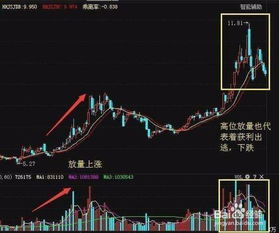 股票知识论坛-学习股票知识——炒股票应先学会哪些知识(3)