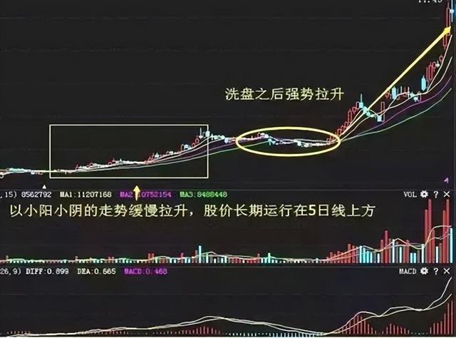 股票知识论坛-股市炒股，入门基础知识整理，股票知识学习，看完你会了吗？(19)