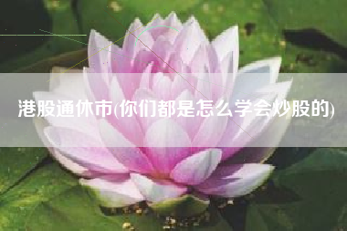 股票知识论坛-你们都是怎么学会炒股的？炒股知识学习入门技巧经验分享(1)